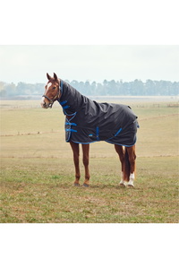 2025 Weatherbeeta Comfitec Tyro Turnout Combo Neck 220G 1029034 - Black